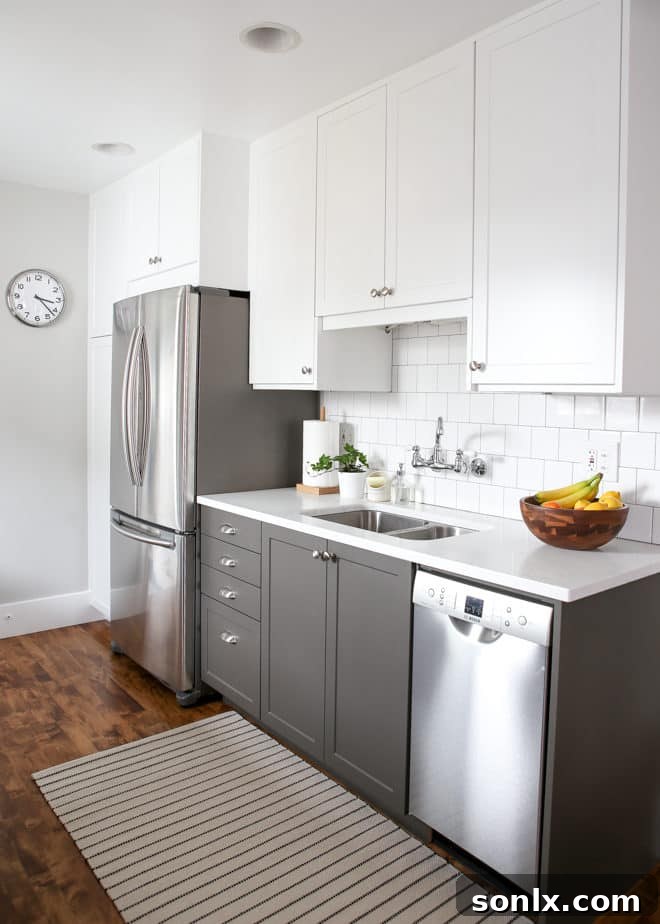 The big completely delicious kitchen reveal - Modern Kitchen Design