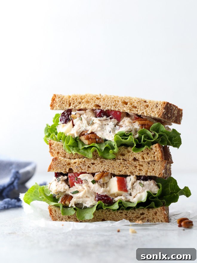 A vibrant chicken salad featuring shredded chicken, chopped pecans, diced apples, and dried cherries, generously coated in a creamy, rosemary-infused dressing, presented in a rustic bowl.