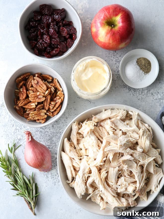 Close-up shot of the delectable chicken salad, showcasing the texture of shredded chicken, vibrant red dried cherries, and golden pecans, all coated in a rich, creamy dressing.