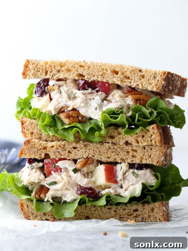 The final presentation of the chicken salad with pecans, apples, and dried cherries, artfully arranged on a plate, ready to be served.