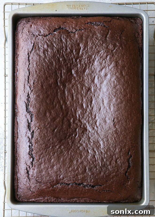 This simple chocolate sheet cake can be baked in a standard 9x13 pan or a large half sheet pan for feeding a bigger crowd.
