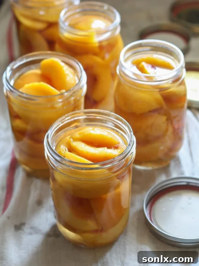 canned peaches ready for water bath processing