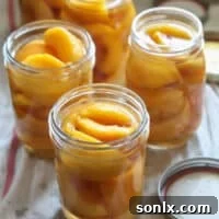 canned peaches ready for water bath processing