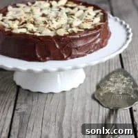 Julia Child's Chocolate Almond Cake
