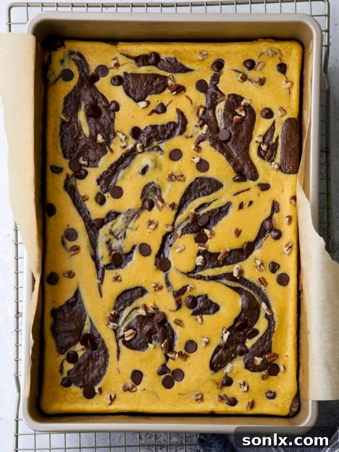 Pumpkin cheesecake swirl brownies in a baking pan, unsliced, ready for chilling