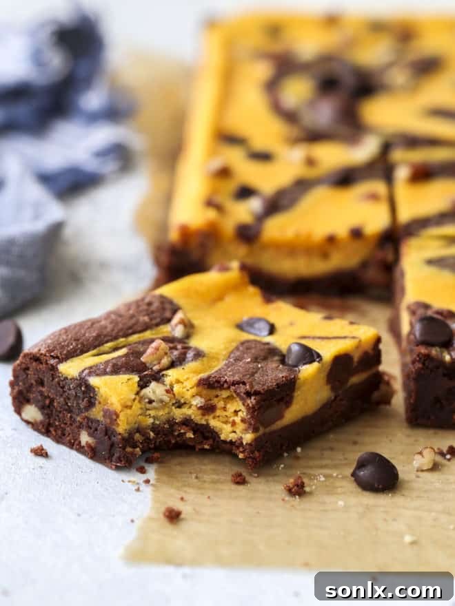 A close-up shot of a pumpkin cheesecake swirl brownie with a bite taken out, showing the distinct layers
