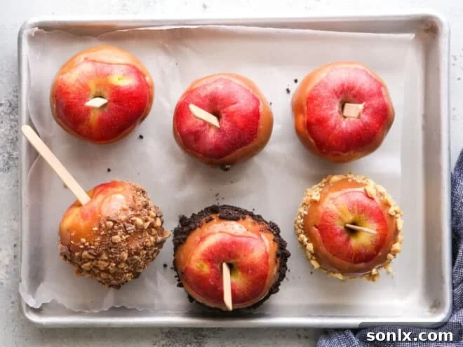 A tray filled with freshly dipped caramel apples, some plain and others adorned with various toppings, cooling and setting.