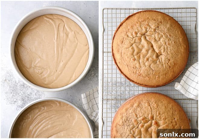 Brown sugar and cinnamon cake layers before and after