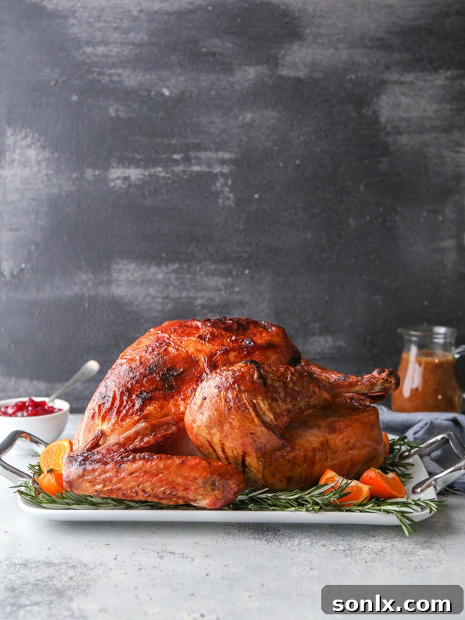 This dry-brined roasted turkey is the only turkey recipe you'll ever need! It's full of incredible flavor, it's super juicy, and is has the most beautiful crispy skin. 