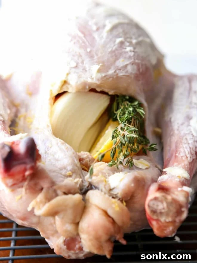 closeup of turkey stuffed with aromatics