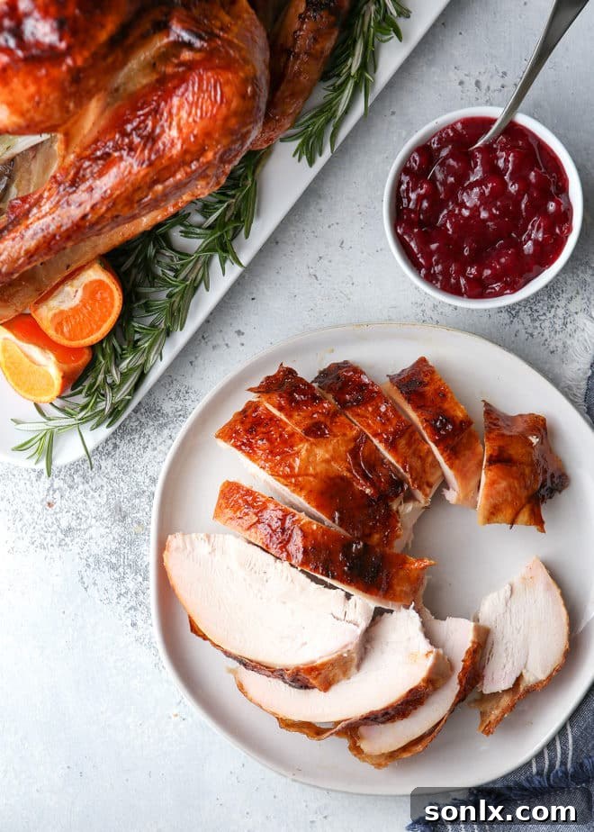 This dry-brined roasted turkey is the only turkey recipe you'll ever need! It's full of incredible flavor, it's super juicy, and is has the most beautiful crispy skin. 