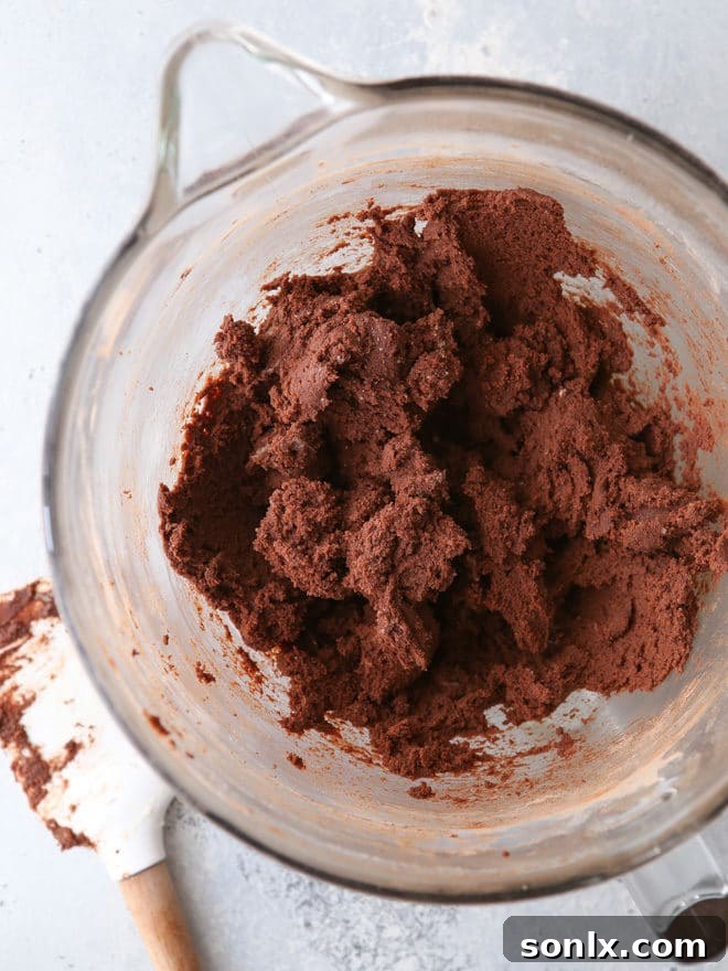 Chocolate crinkle cookie dough, showing its rich, uniform texture before rolling.