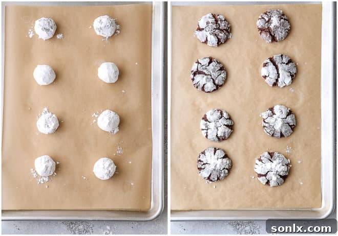 Chocolate crinkle cookies, before and after baking, showcasing the signature powdered sugar cracks.