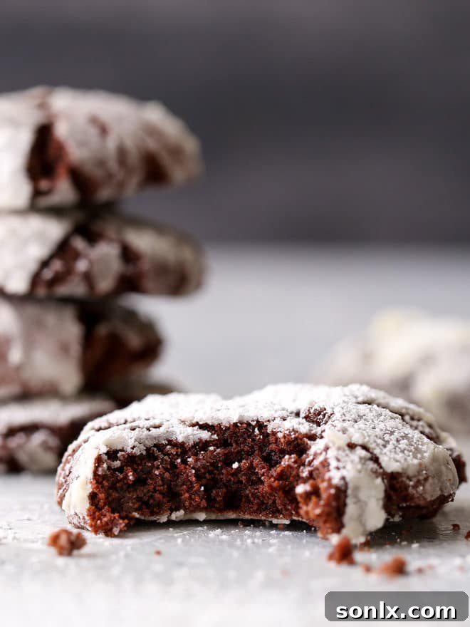 These rich and fudgy chocolate crinkle cookies have a hint of coffee and cinnamon that sets them apart. They're simply irresistible!