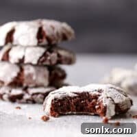 These rich and fudgy chocolate crinkle cookies have a hint of coffee and cinnamon that sets them apart. They're simply irresistible!