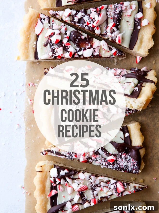 A beautiful assortment of festive Christmas cookies, including decorated sugar cookies, chewy gingersnaps, and decadent chocolate cookies, artfully arranged for holiday inspiration.