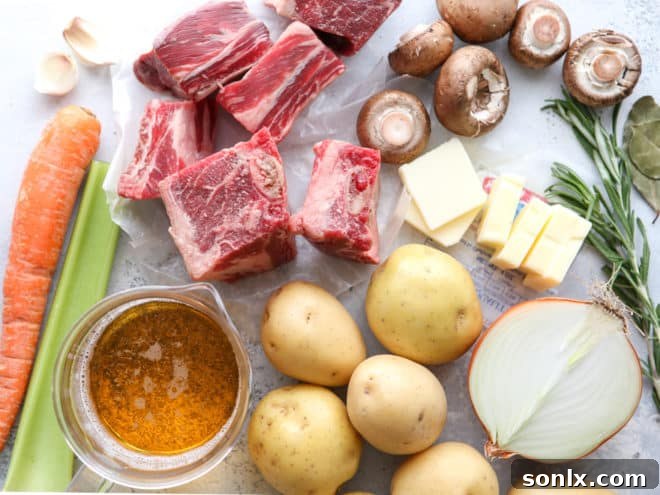 A beautiful flat lay of fresh ingredients for beer-braised short ribs, including beef, vegetables, and herbs.