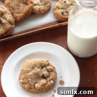 Delicious Whole Wheat Chocolate Chip Coconut Cookies