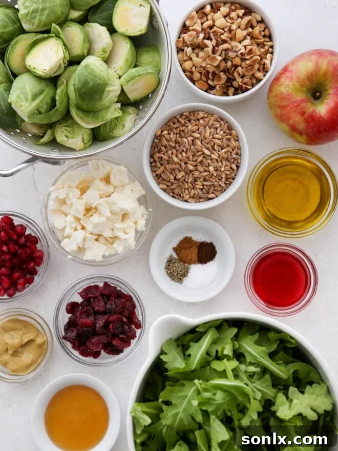 Fresh ingredients for brussels sprouts and farro salad laid out on a table, including farro, brussels sprouts, apples, cranberries, and hazelnuts.