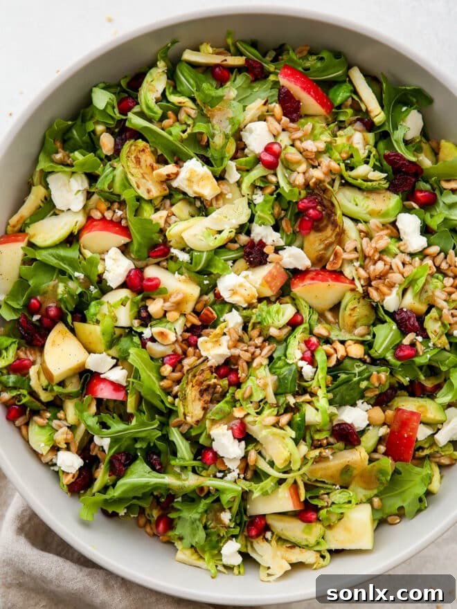 Close-up shot of the colorful and inviting brussels sprouts and farro salad in a bowl.