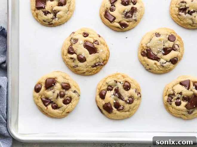 chocolate chip cookies fresh from the oven
