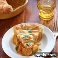 Coconut Curry Chicken Pot Pie