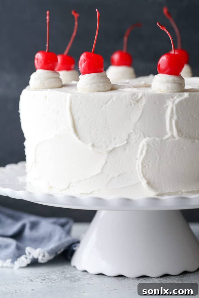 A whole homemade cherry chip cake, beautifully frosted with whipped vanilla buttercream, perfect for any celebration