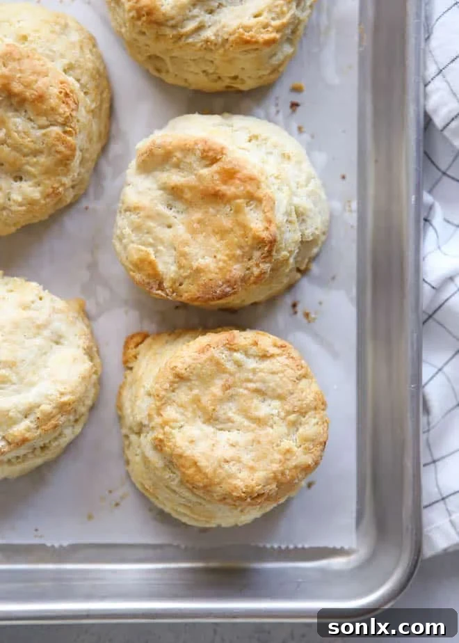 Easy Buttermilk Biscuits | completelydelicious.com