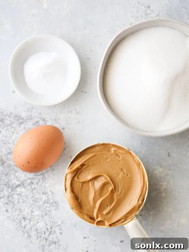 Four simple ingredients for flourless peanut butter cookies: peanut butter, sugar, baking soda, and an egg, portioned out.