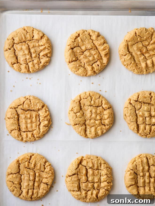 Freshly baked flourless peanut butter cookies cooling on a baking sheet pan.