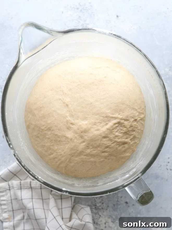 Cinnamon sourdough dough for apple fritters