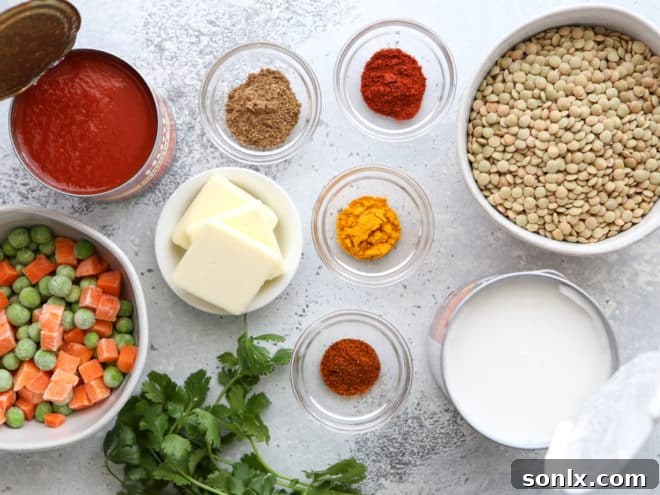 Ingredients for coconut curry lentils