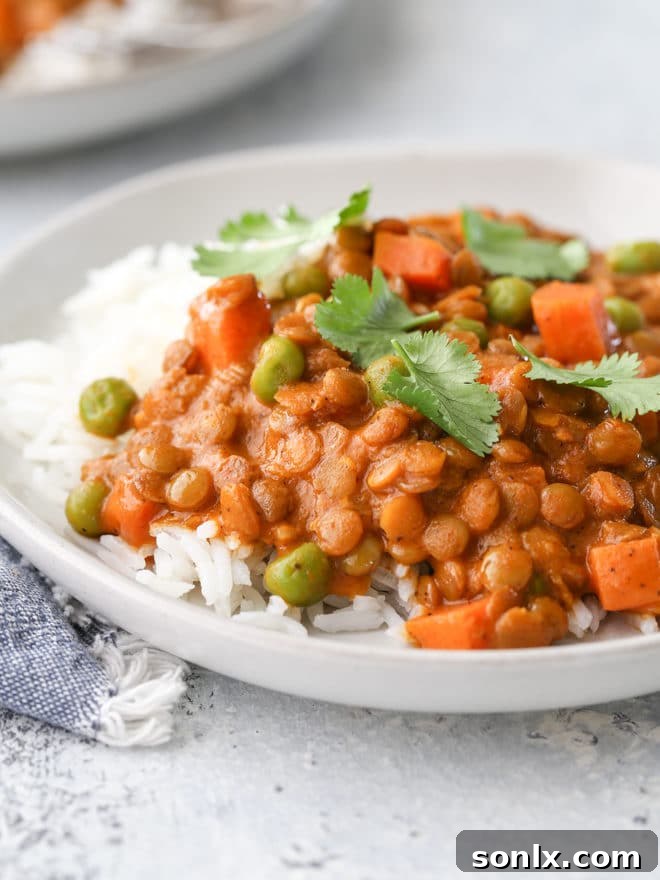 Serve this rich and flavorful coconut curry lentils dish with rice or flatbread for an easy and very satisfying meal.