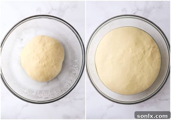 a visual comparison of doughnut dough, showing its appearance before rising as a compact ball and after rising, doubled in size and light