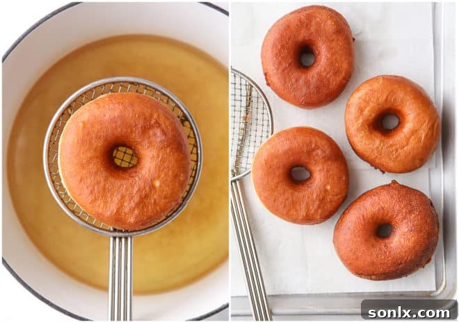 yeast-raised doughnuts frying in hot oil in a heavy-bottomed pot, turning golden brown