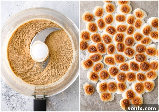 graham cracker crumbs and toasted marshmallows