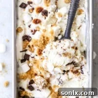 This super easy and delicious no-churn s'mores ice cream is filled with graham cracker crumble, chocolate chunks, and toasted marshmallows.