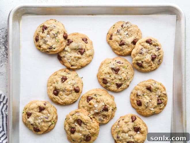 A plate stacked with golden-brown zucchini chocolate chip cookies after baking, ready to be enjoyed