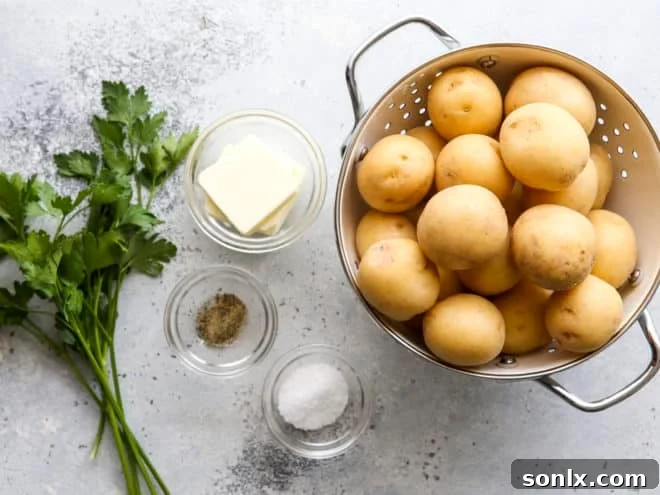 ingredients for boiled potatoes