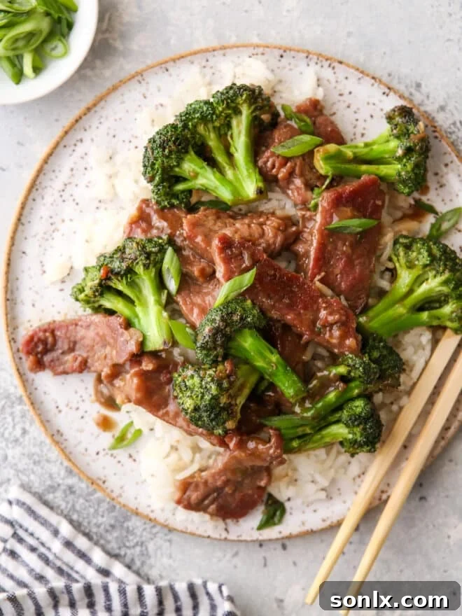 A beautifully plated Beef and Broccoli Stir Fry, ready to be enjoyed.