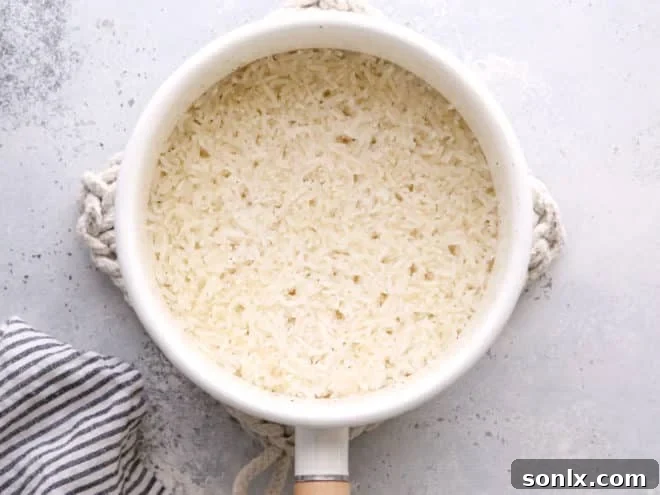 Steamed rice resting in a pot on the stove
