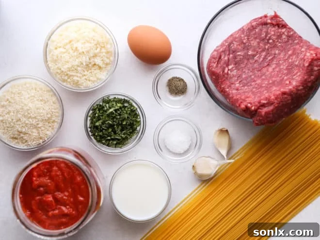 Homestyle Spaghetti and Meatballs 3 spaghetti and meatballs ingredients