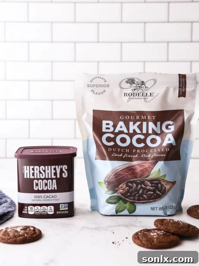 Hershey's Cocoa and Rodelle Dutch Process Cocoa in bags on counter