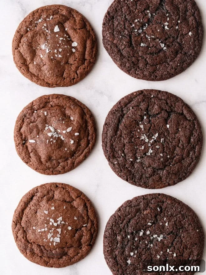 Chocolate cookies side-by-side, using natural cocoa and dutch process cocoa