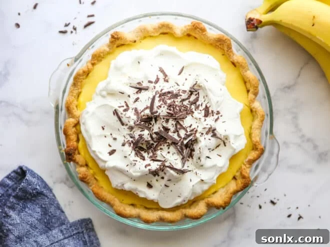 A fully assembled Chocolate Banana Cream Pie in a pie pan, showcasing its elegant topping of whipped cream before slicing.