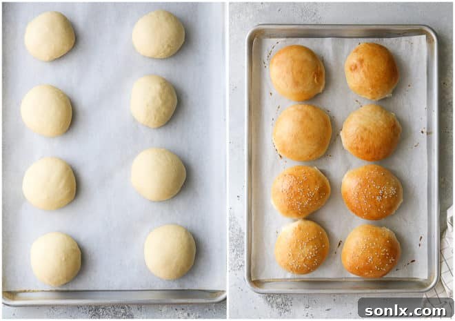 burger buns before and after baking