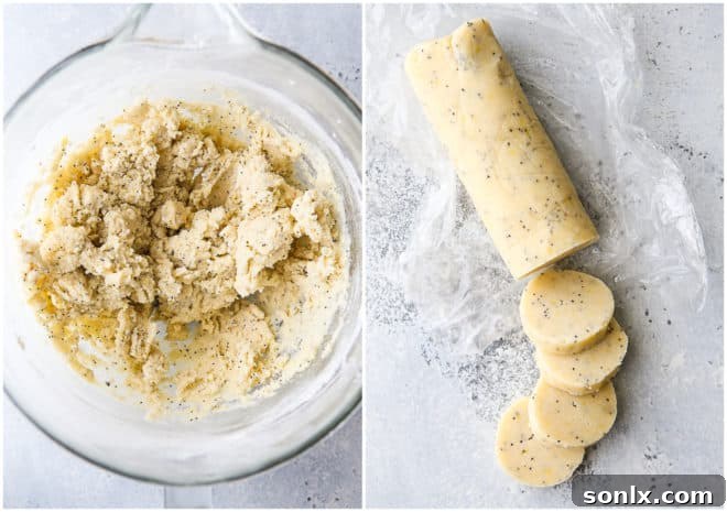 lemon poppy seed shortbread cookie dough in mixing bowl, and chilled and cut into rounds