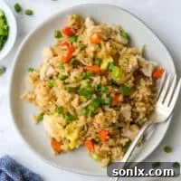 close up of chicken fried rice on plates with a fork