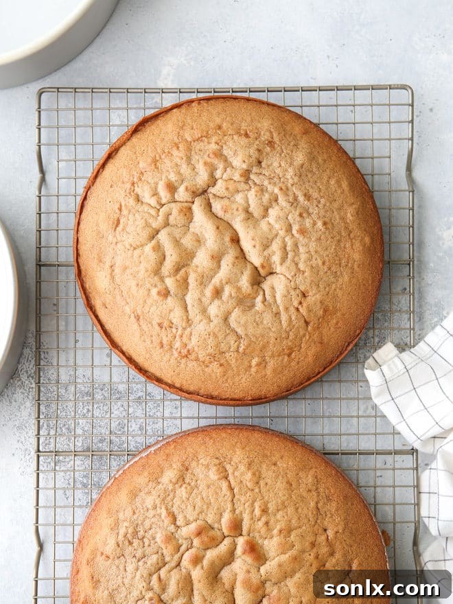 Unlock the Secret to Perfect Cake Release Every Time 2 Prepare cake pans correctly and you'll never have a cake stick to the pan
