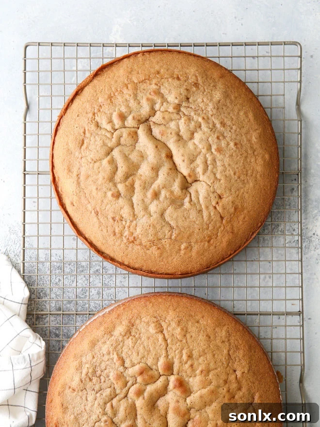 Unlock the Secret to Perfect Cake Release Every Time 8 Prepare cake pans correctly and you'll never have a cake stick to the pan